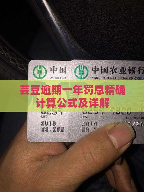 芸豆逾期一年罚息精确计算公式及详解