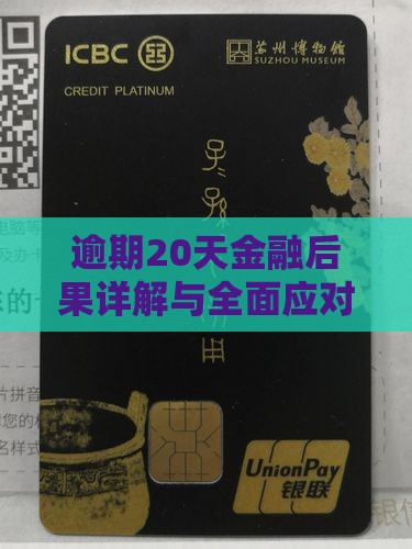 逾期20天金融后果详解与全面应对策略
