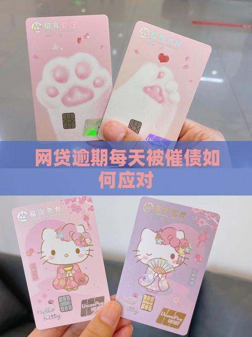 网贷逾期每天被催债如何应对