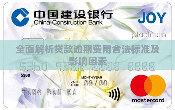 全面解析贷款逾期费用合法标准及影响因素