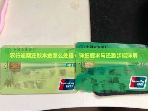 农行逾期还款本金怎么处理：详细要求与还款步骤详解