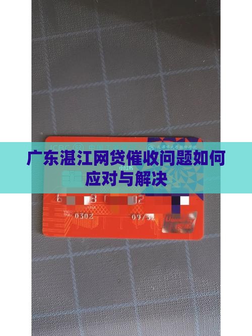 广东湛江网贷催收问题如何应对与解决