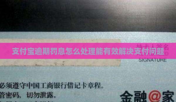 支付宝逾期罚息怎么处理能有效解决支付问题