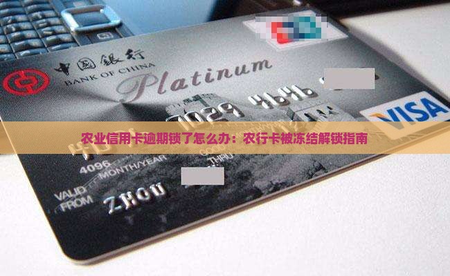 农业信用卡逾期锁了怎么办：农行卡被冻结解锁指南