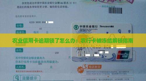农业信用卡逾期锁了怎么办：农行卡被冻结解锁指南