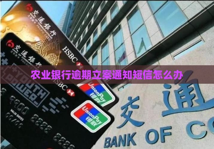 农业银行逾期立案通知短信怎么办