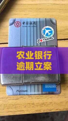 农业银行逾期立案通知短信怎么办