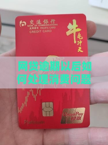 网贷逾期以后如何处理消费问题及应对策略