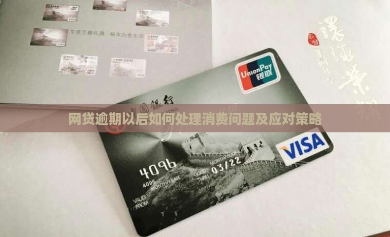 网贷逾期以后如何处理消费问题及应对策略