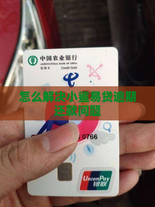 怎么解决小鲨易贷逾期还款问题