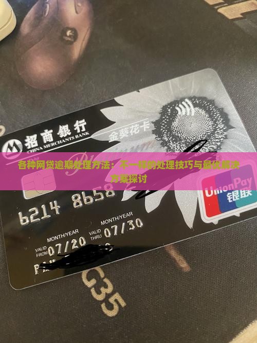 各种网贷逾期处理方法：不一样的处理技巧与最优解决方案探讨