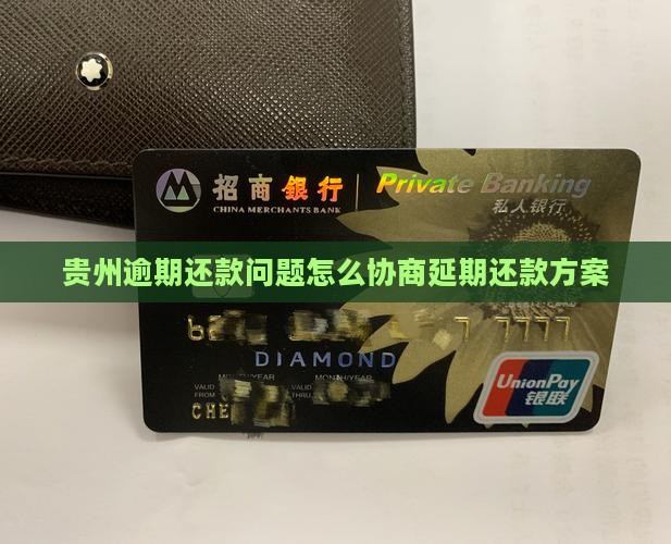 贵州逾期还款问题怎么协商延期还款方案