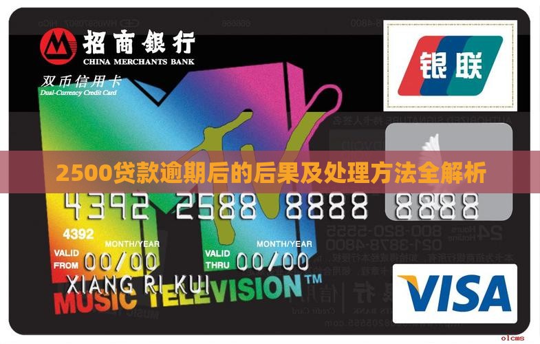 2500贷款逾期后的后果及处理方法全解析