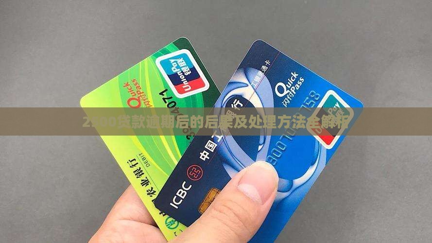 2500贷款逾期后的后果及处理方法全解析