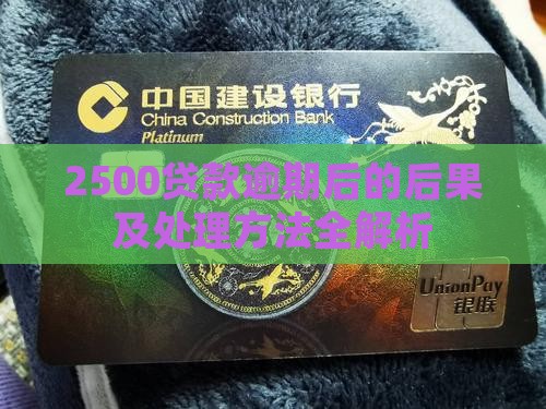 2500贷款逾期后的后果及处理方法全解析