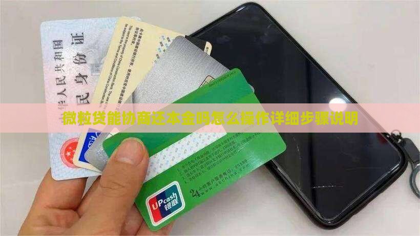 微粒贷能协商还本金吗怎么操作详细步骤说明