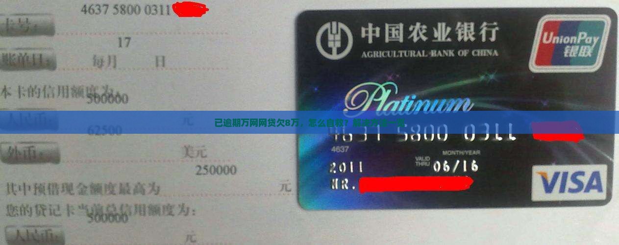 已逾期万网网贷欠8万，怎么自救？解决方法一览