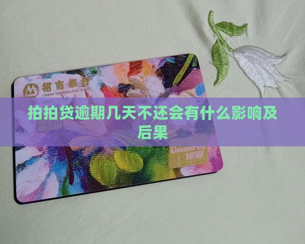拍拍贷逾期几天不还会有什么影响及后果