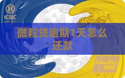 微粒贷逾期1天怎么还款