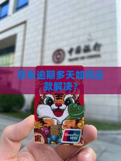 京东逾期多天如何还款解决？
