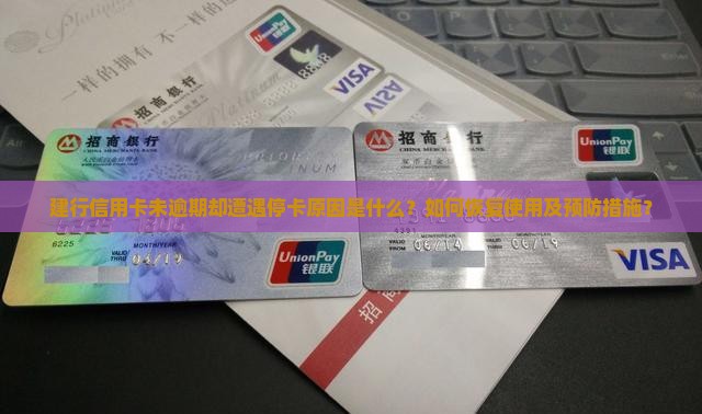 建行信用卡未逾期却遭遇停卡原因是什么？如何恢复使用及预防措施？