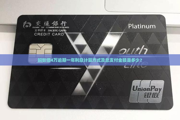 蚂蚁借4万逾期一年利息计算方式及总支付金额是多少？