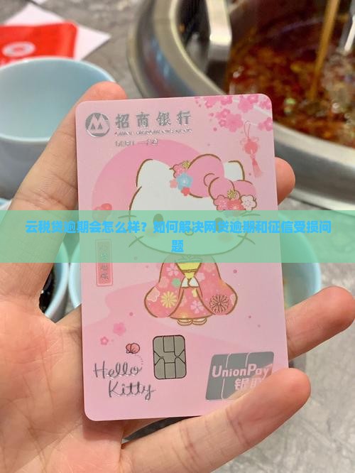 云税贷逾期会怎么样？如何解决网贷逾期和征信受损问题