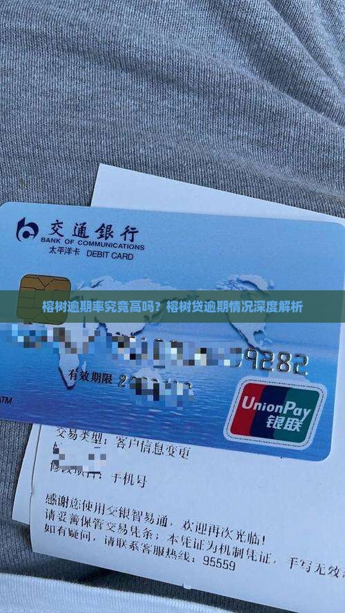 榕树逾期率究竟高吗？榕树贷逾期情况深度解析