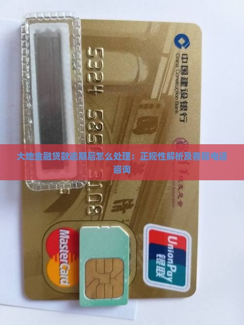 大地金融贷款逾期后怎么处理：正规性解析及客服电话咨询