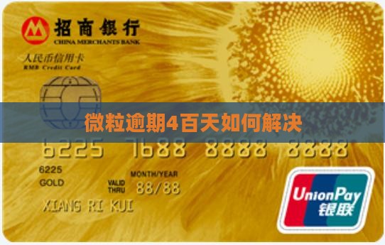 微粒逾期4百天如何解决