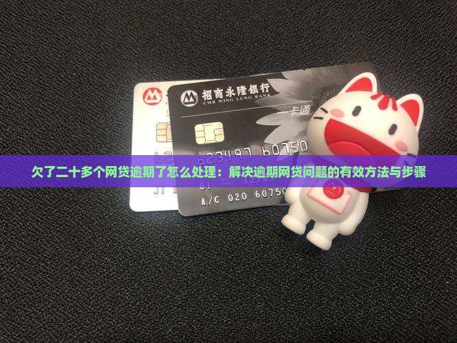欠了二十多个网贷逾期了怎么处理：解决逾期网贷问题的有效方法与步骤