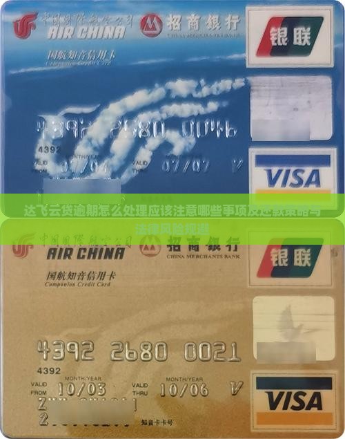 达飞云贷逾期怎么处理应该注意哪些事项及还款策略与法律风险规避
