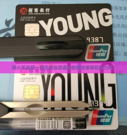 钱小乐逾期一期还款会遭遇哪些催收策略和压力吗？