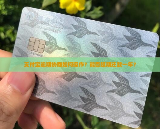 支付宝逾期协商如何操作？能否延期还款一年？