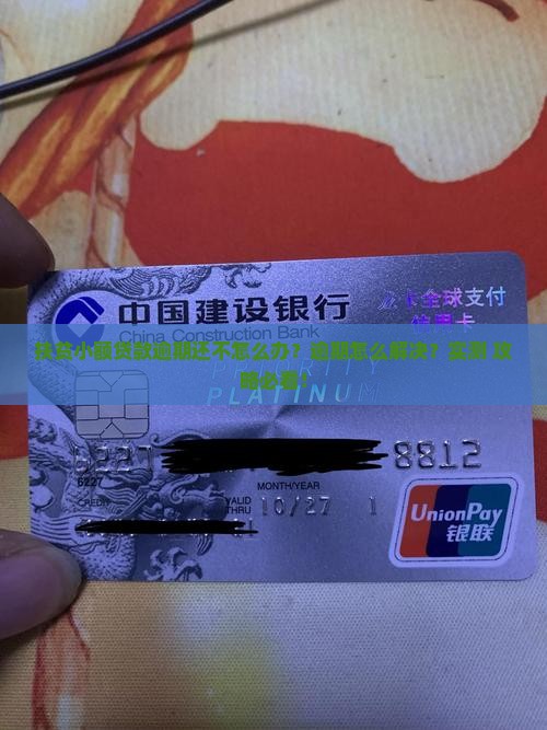 精准扶贫小额贷款逾期怎么办如何解决