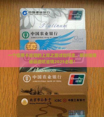 一个信用卡逾期的上岸之路该如何走