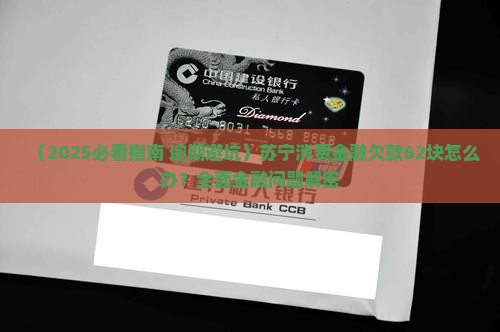欠苏宁消费金融62块怎么办