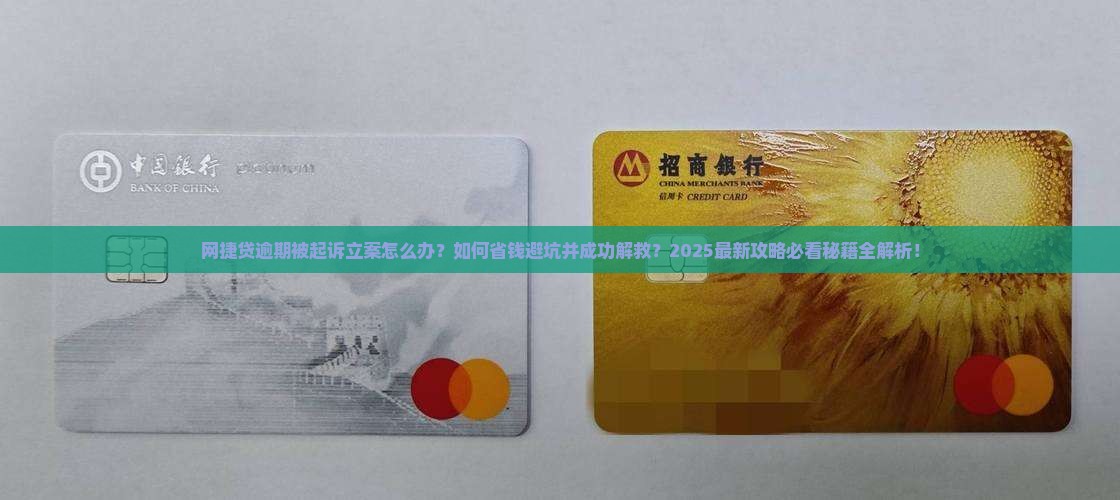 网捷贷逾期被起诉立案应该如何处理