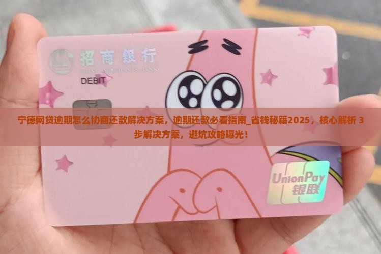 宁德网贷逾期怎么协商还款解决方案