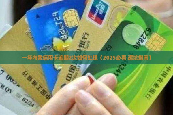 一年内我信用卡逾期2次如何处理