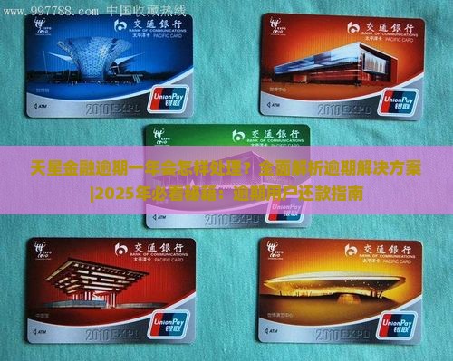 天星金融逾期一年会怎样处理