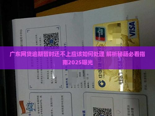 广东网贷逾期暂时还不上应该如何处理