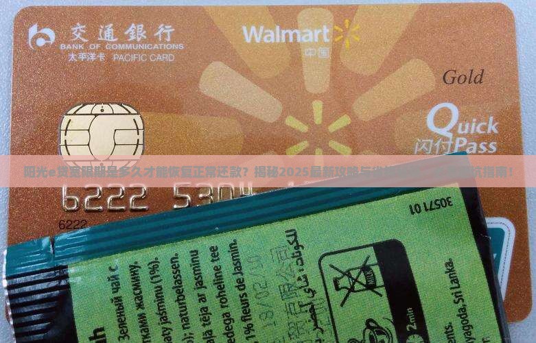 阳光e贷宽限期是多久才能恢复正常还款
