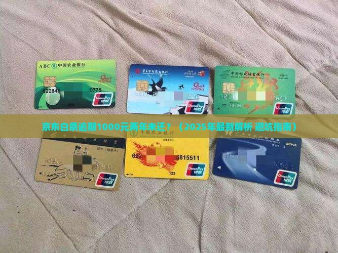 京东白条一千逾期两年了
