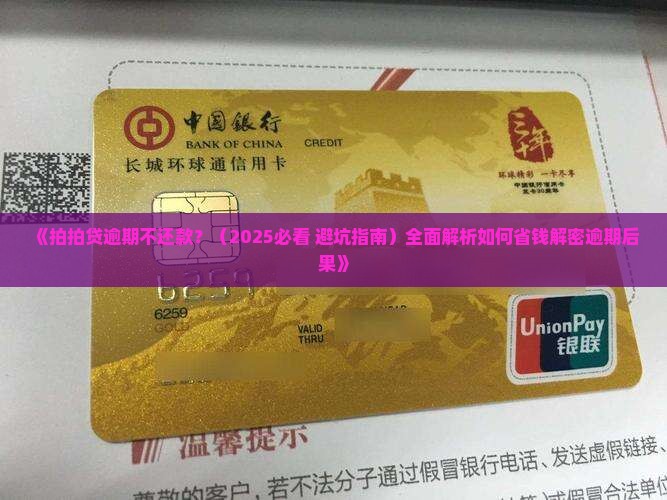 拍拍贷贷逾期不还款