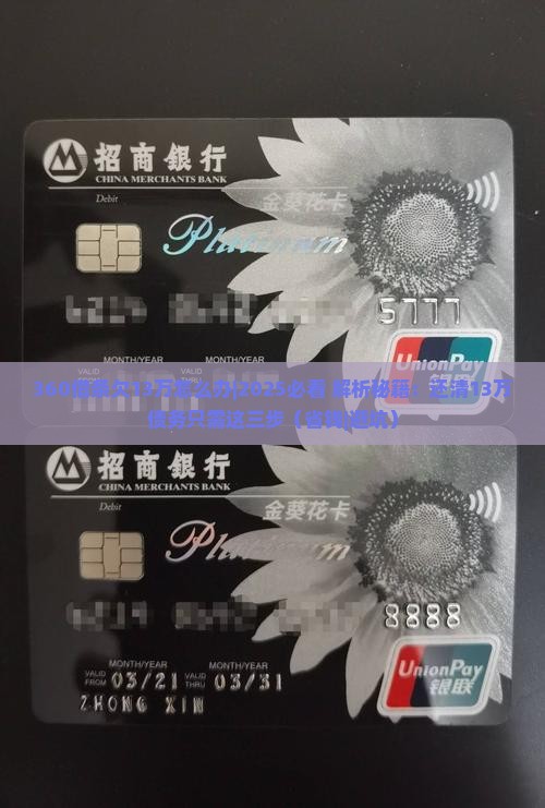 360借条欠13万怎么办