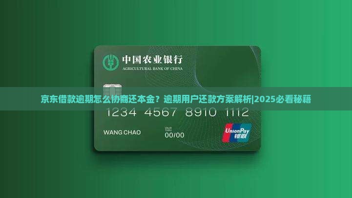 京东借款逾期怎么协商还本金