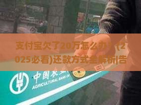 支付宝欠了20万怎么办还款方式有哪些