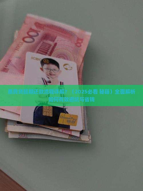 惠民贷延期还款流程详解