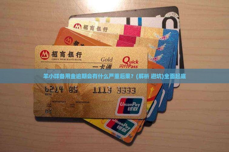 羊小咩备用金逾期会有什么严重后果呢